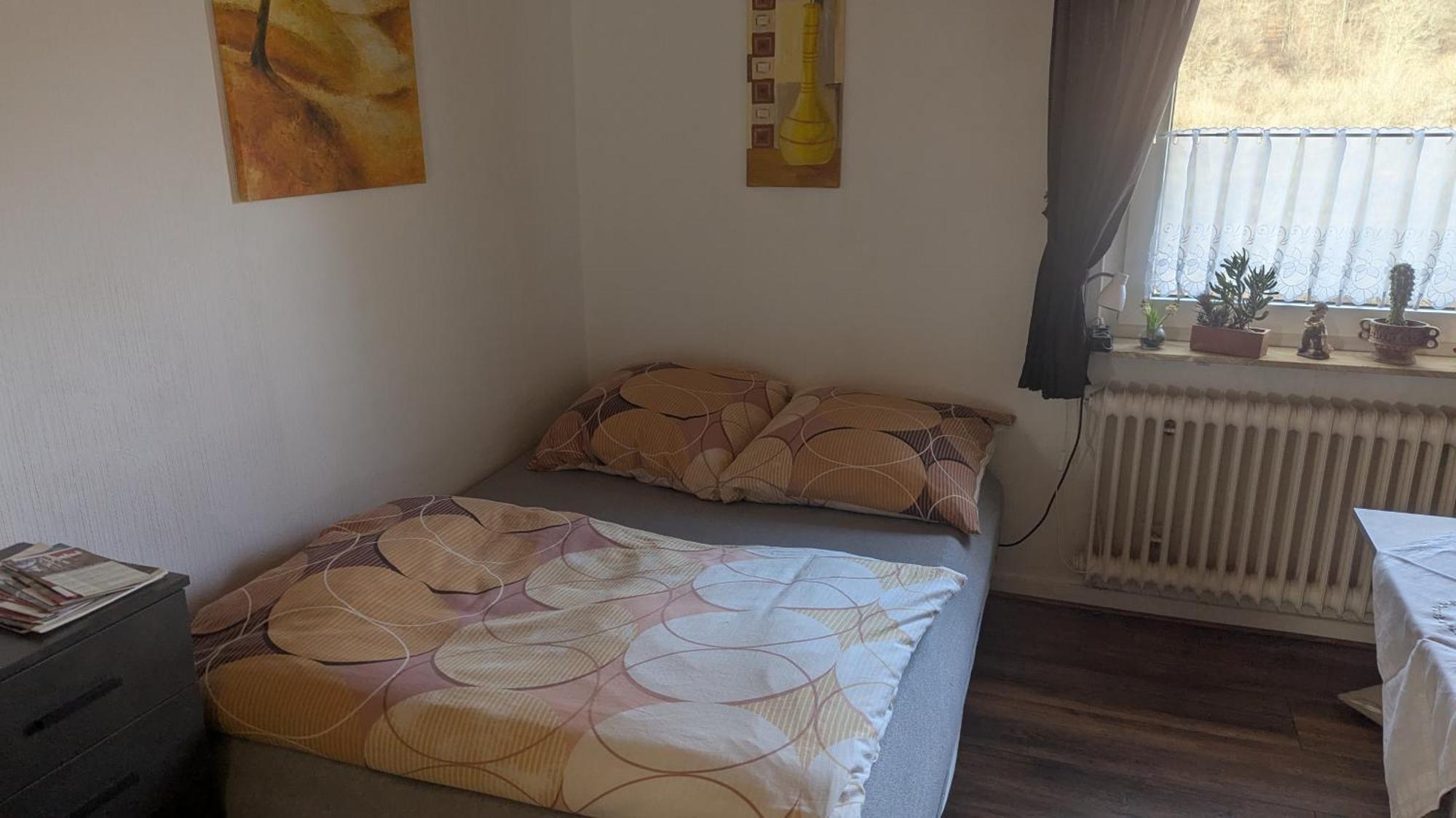 Ferienwohnung Mit Terrasse Fuer 1-4 Personen Altena Eksteriør bilde